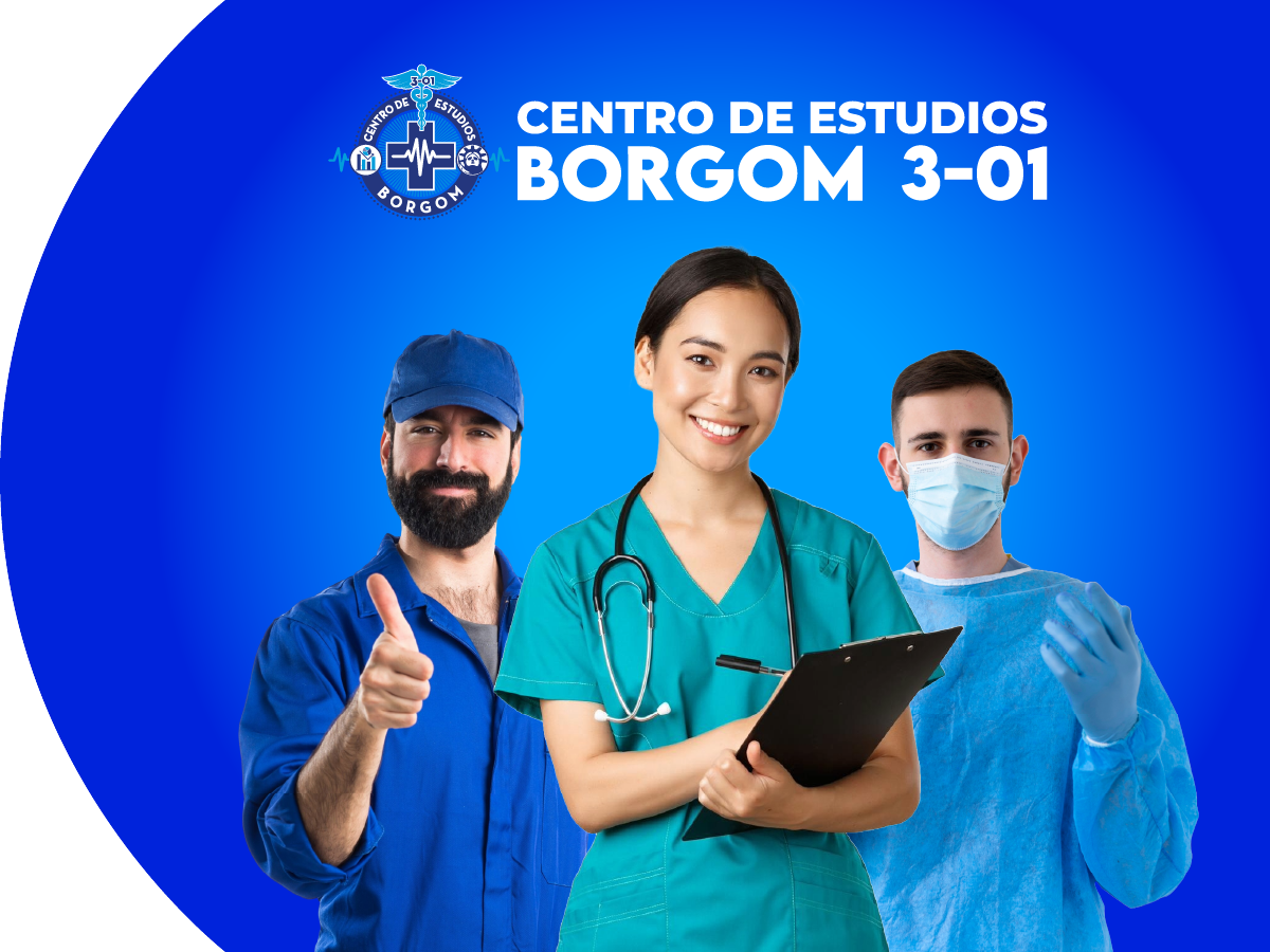 Cursos Borgom